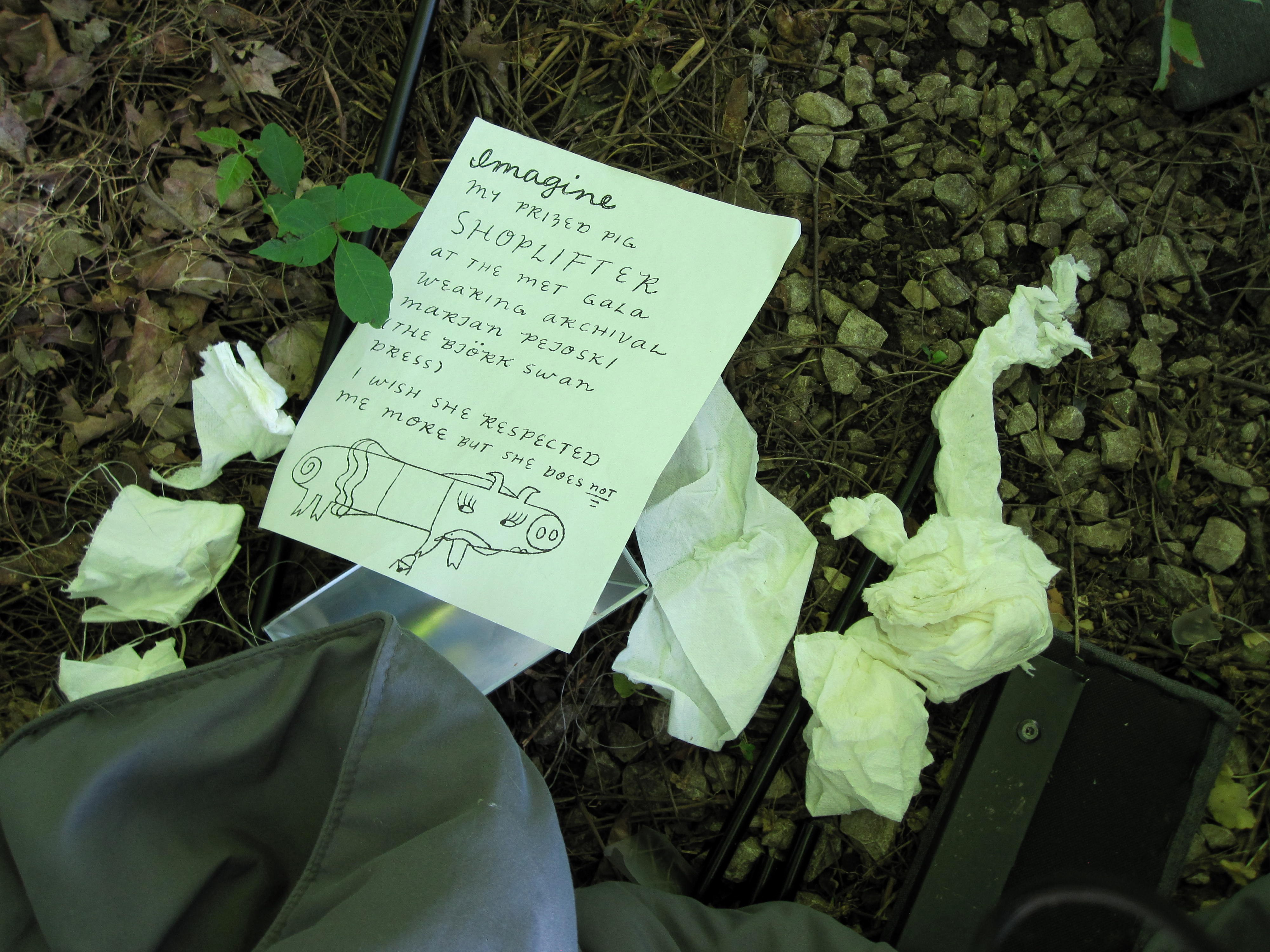 a flier about a missing pig is tacked up