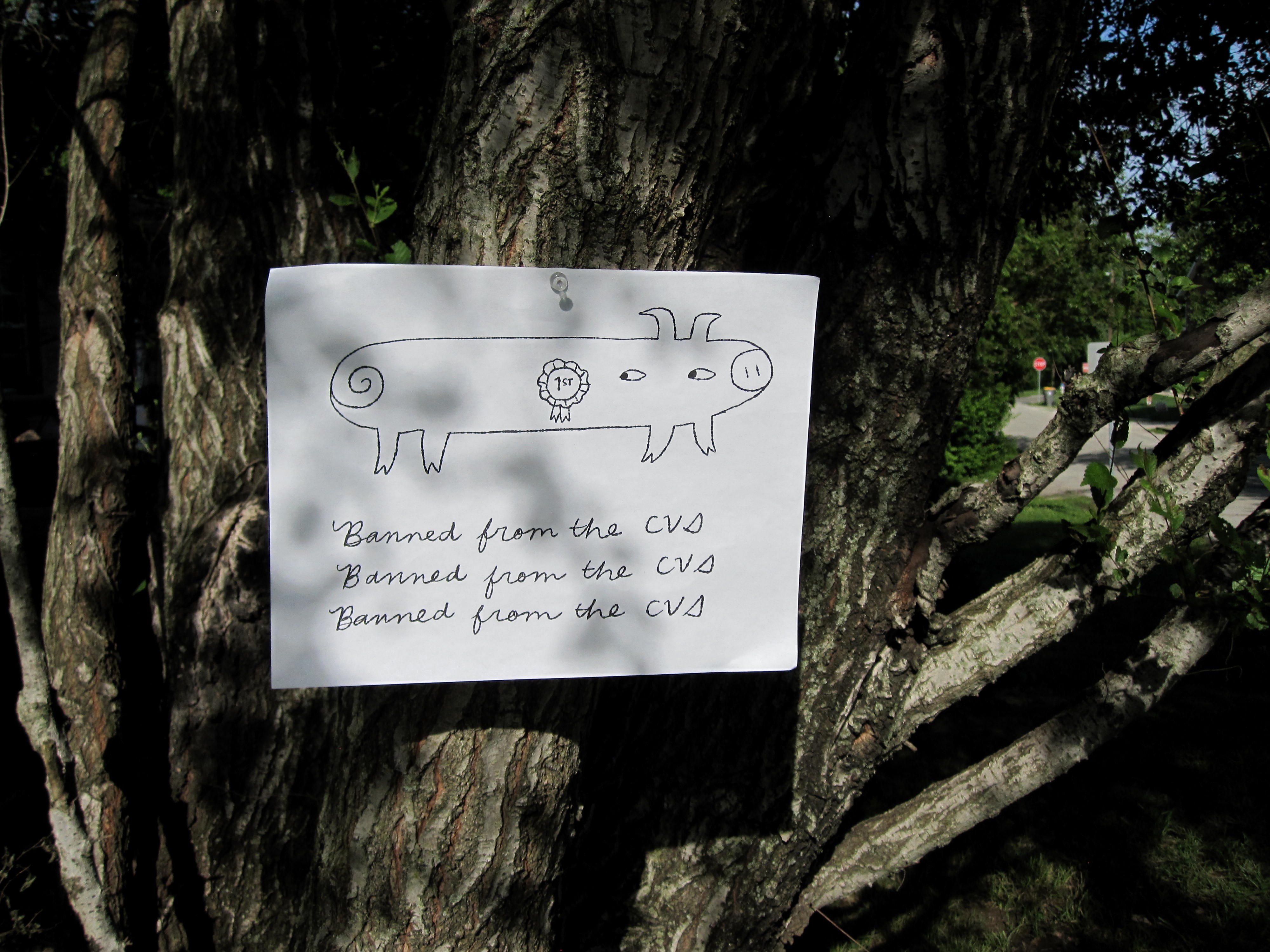 a flier about a missing pig is tacked up