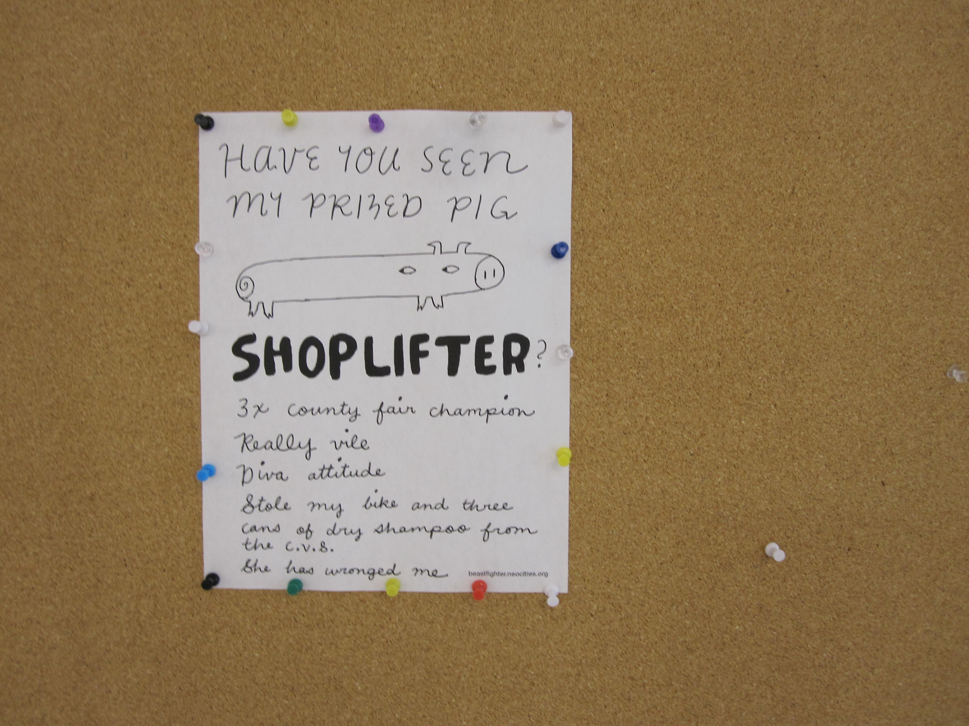 a flier about a missing pig is tacked up