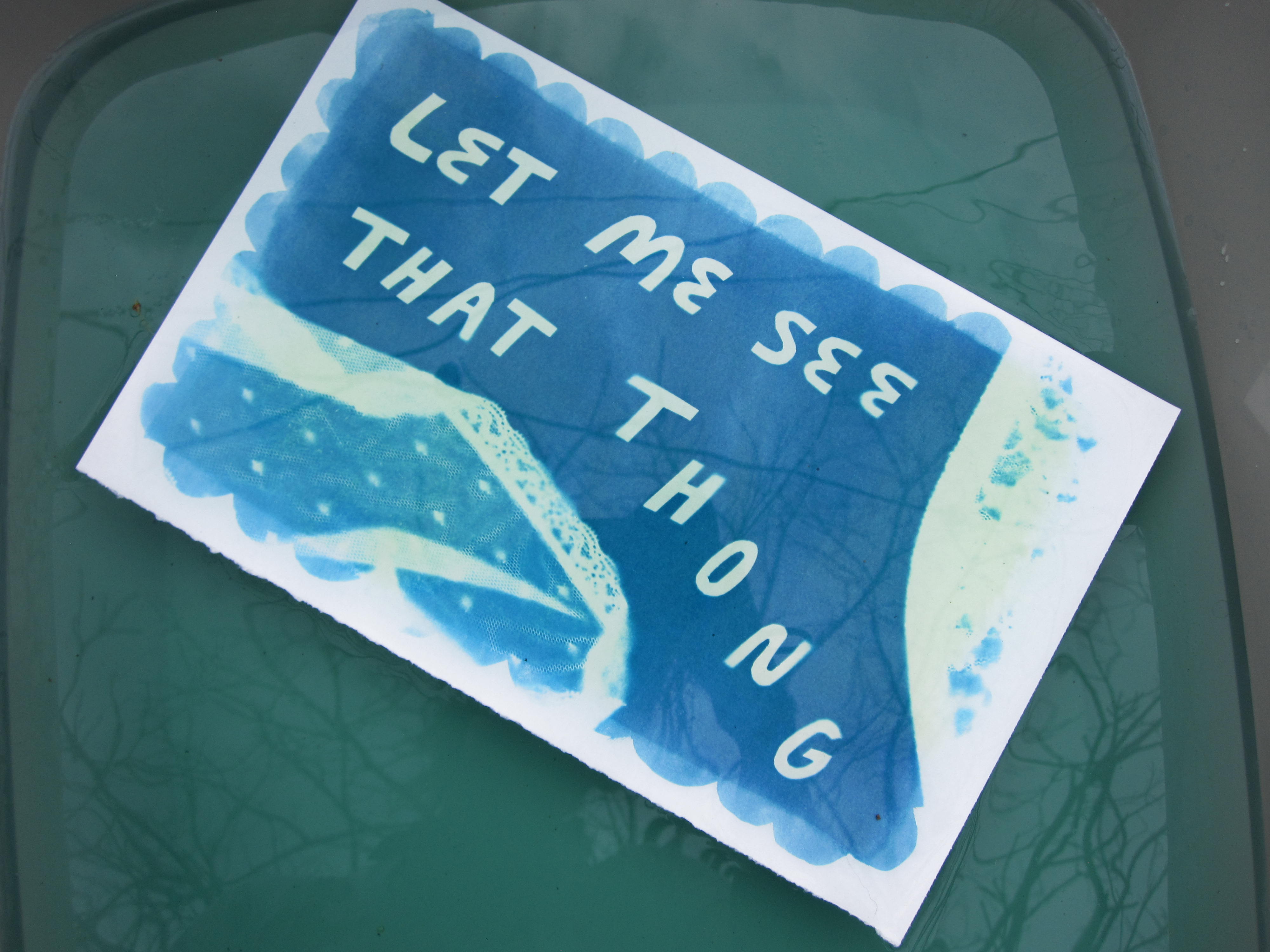 a cyanotype of lace thongs and lyrics from the thong song